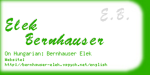 elek bernhauser business card